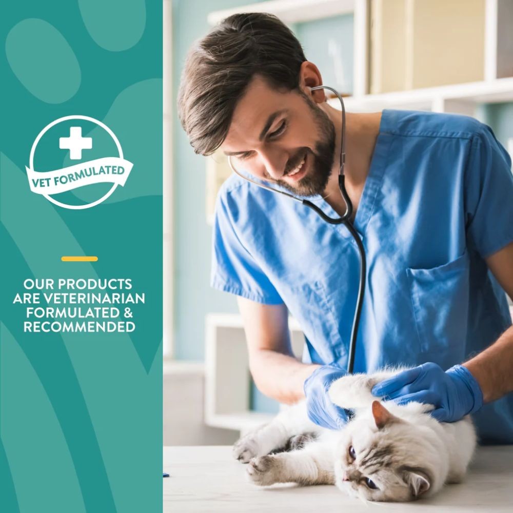 NATURVET QUIET MOMENT CAT CALMING AID SOFT CHEWS 90G (60 TABS) image 3