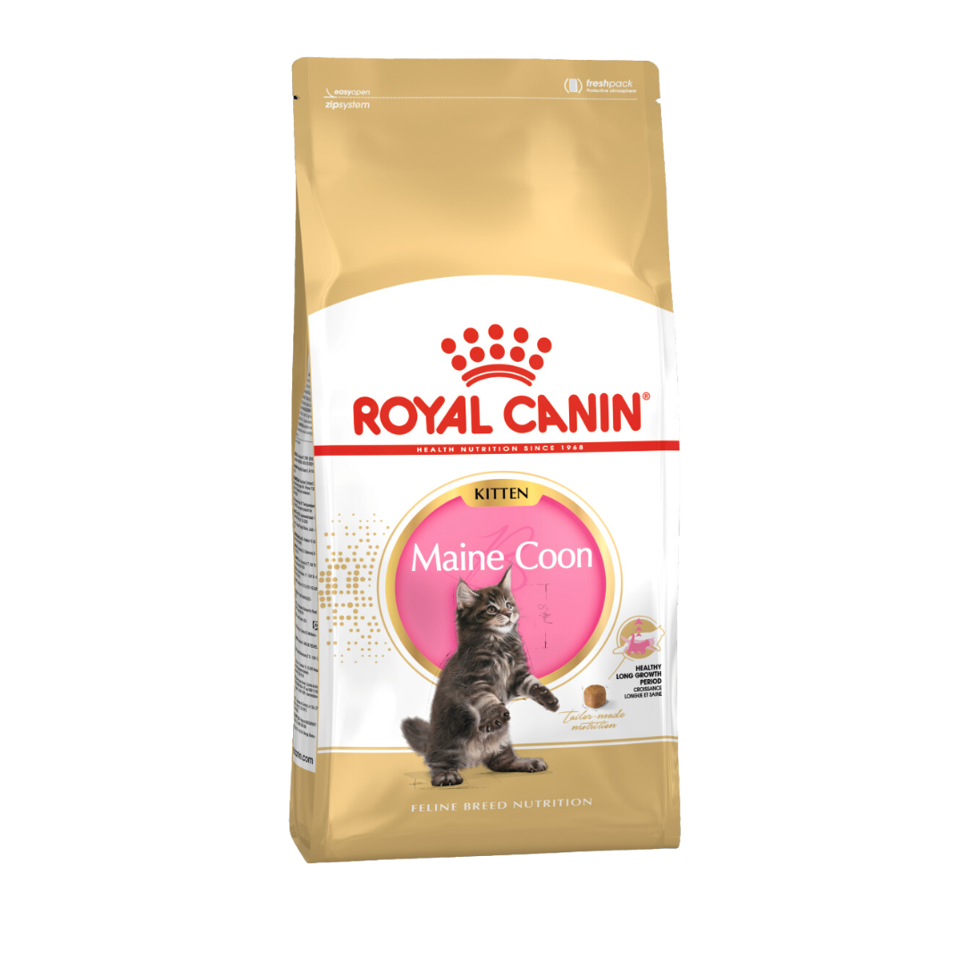 Royal Canin Maine Coon Kitten Dry Cat Food image 3