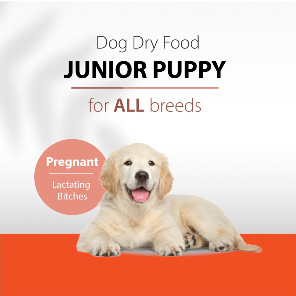 BELIF DOG SMARTCARE JUNIOR PUPPY ALL BREED 2.5KG DRY DOG FOOD image 3
