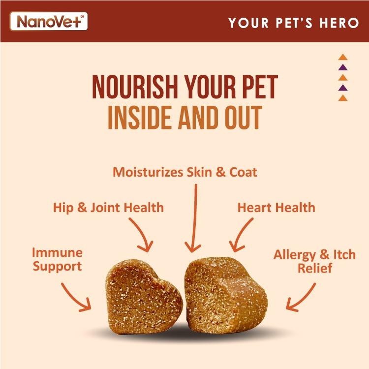 NANOVET SKIN + COAT CHEWS 45PCS image 4