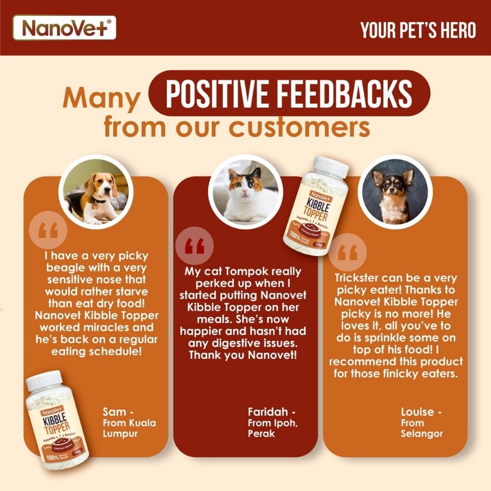 NANOVET KIBBLE TOPPER 70G image 7