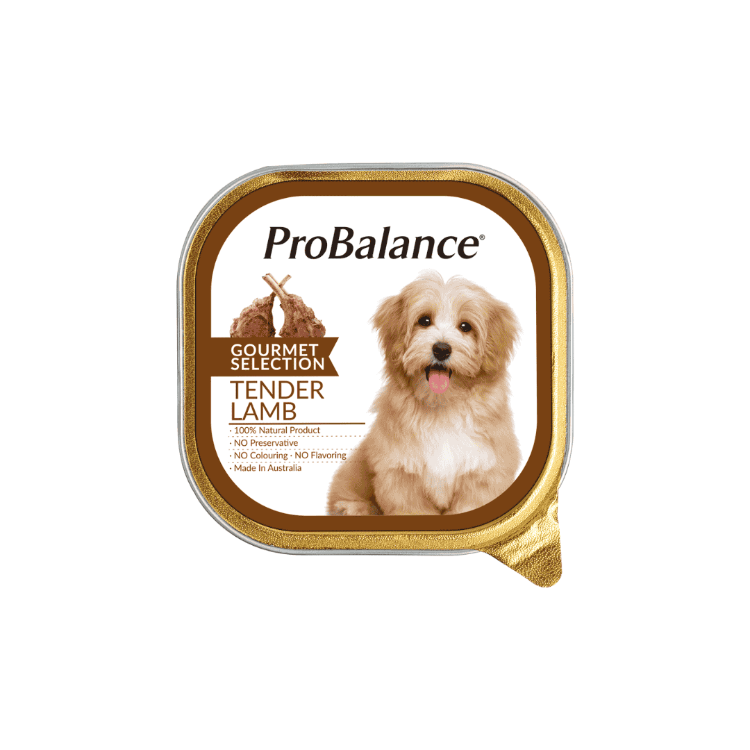 PROBALANCE GOURMET SELECTION 100G WET DOG FOOD image 5