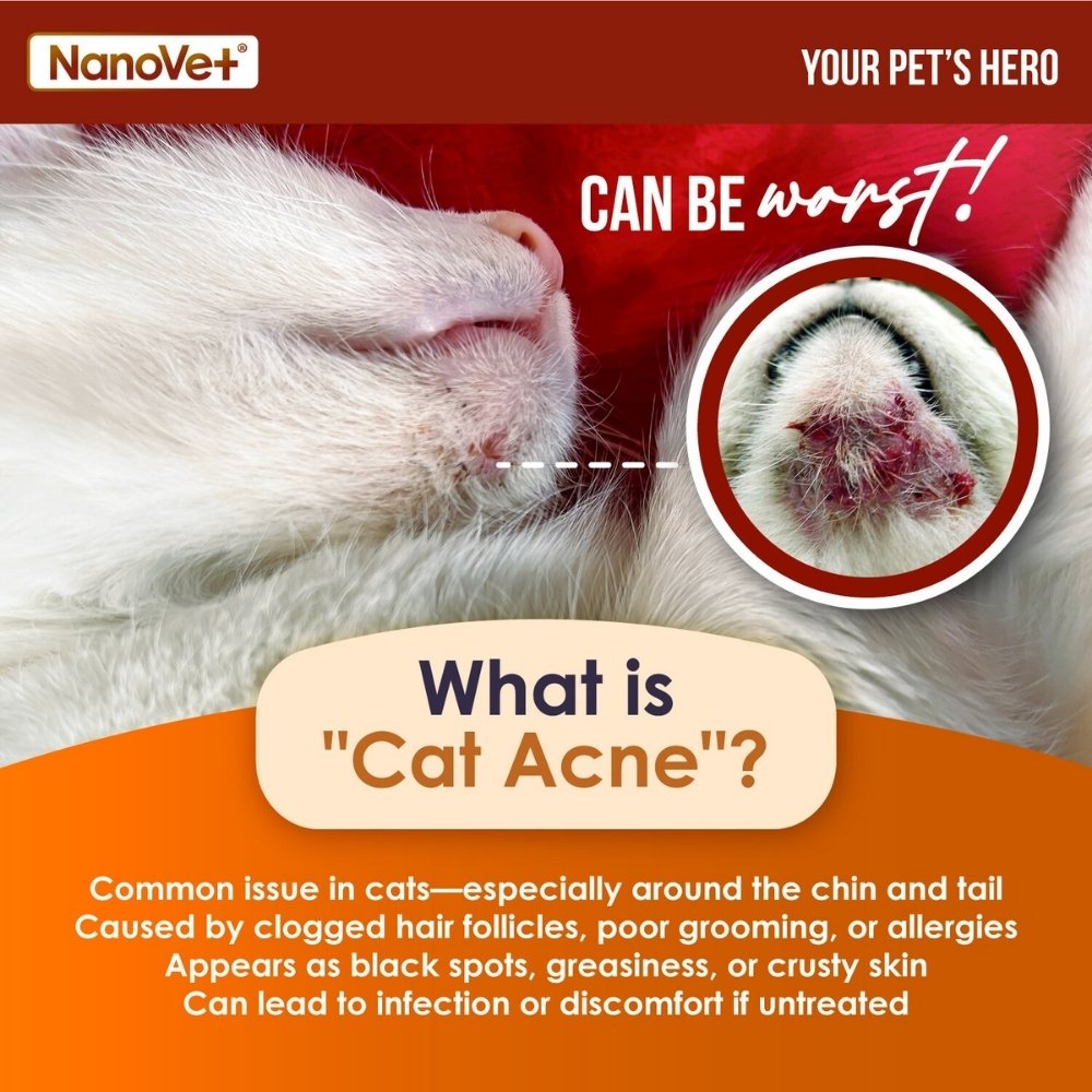 NANOVET PET BLACK CHIN & TAIL REMOVER 150ML image 6