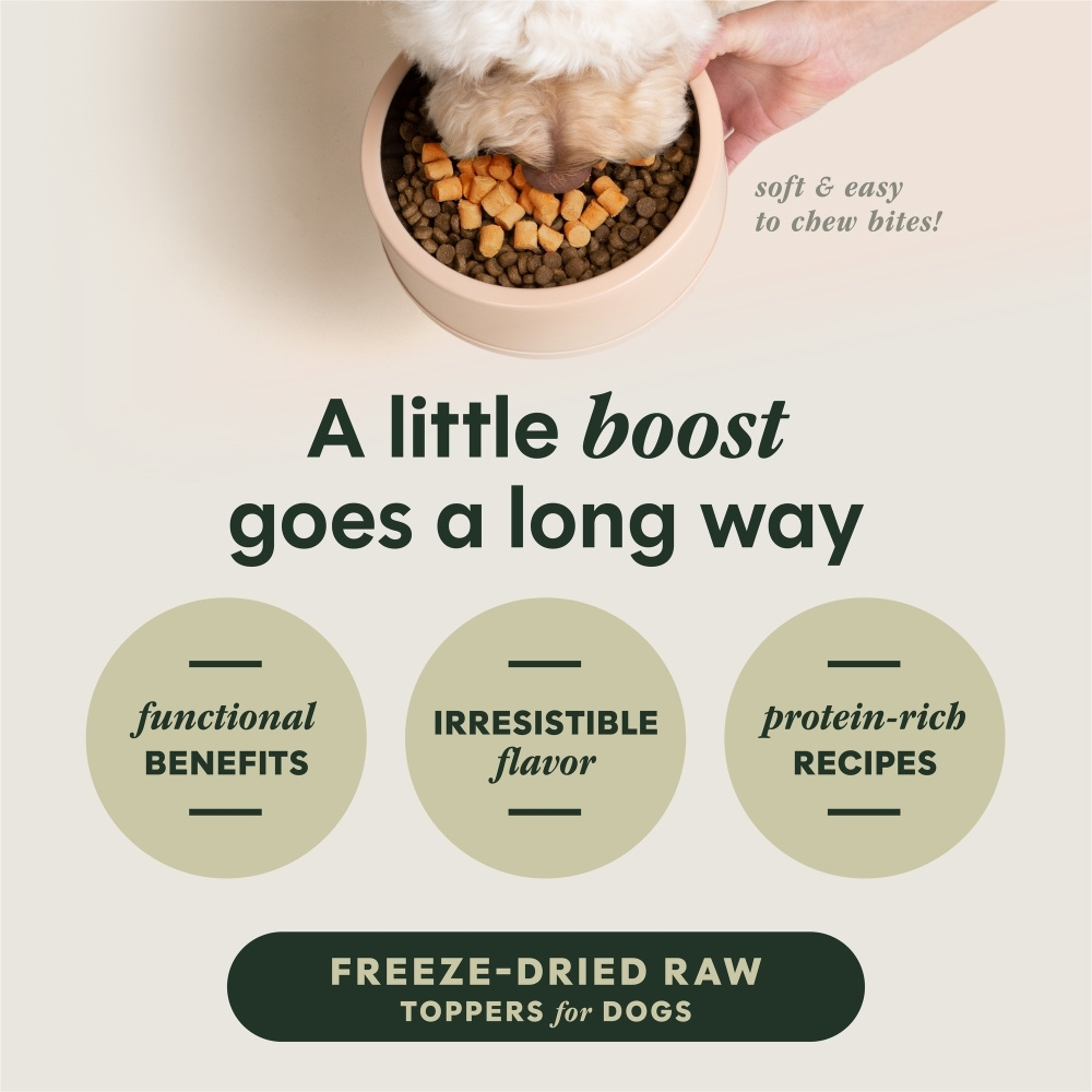 INSTINCT DOG FREEZE-DRIED RAW BOOST MIXERS 155G (5.5OZ) GRAIN-FREE GUT HEALTH DOG FOOD TOPPER image 9
