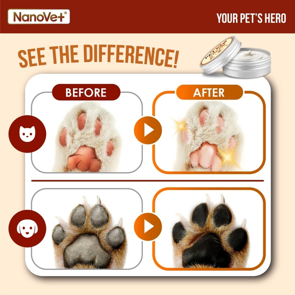 NANOVET PET PAW CREAM 50G image 4
