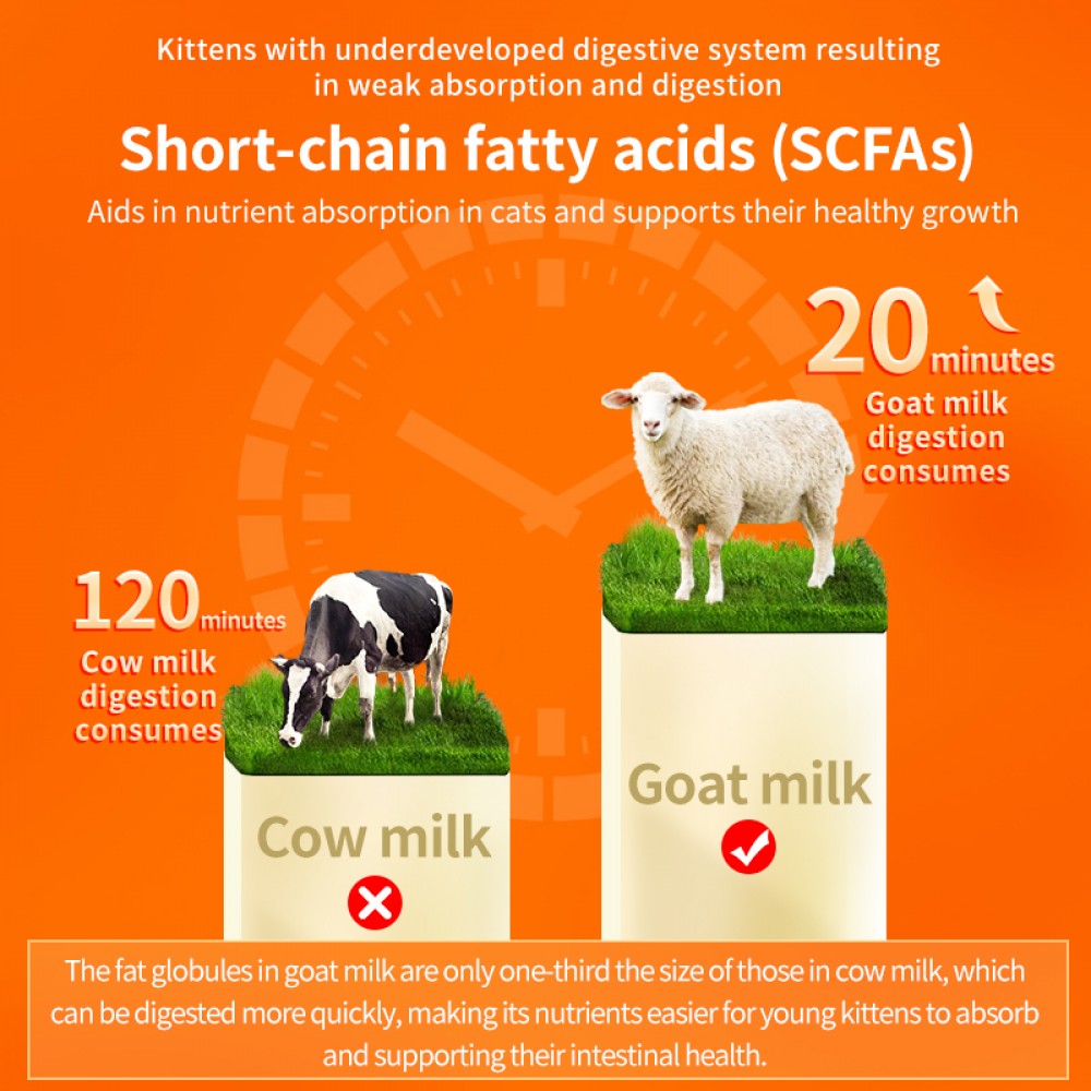 PUAINTA GOAT MILK POWDER FOR KITTENS 200G image 7