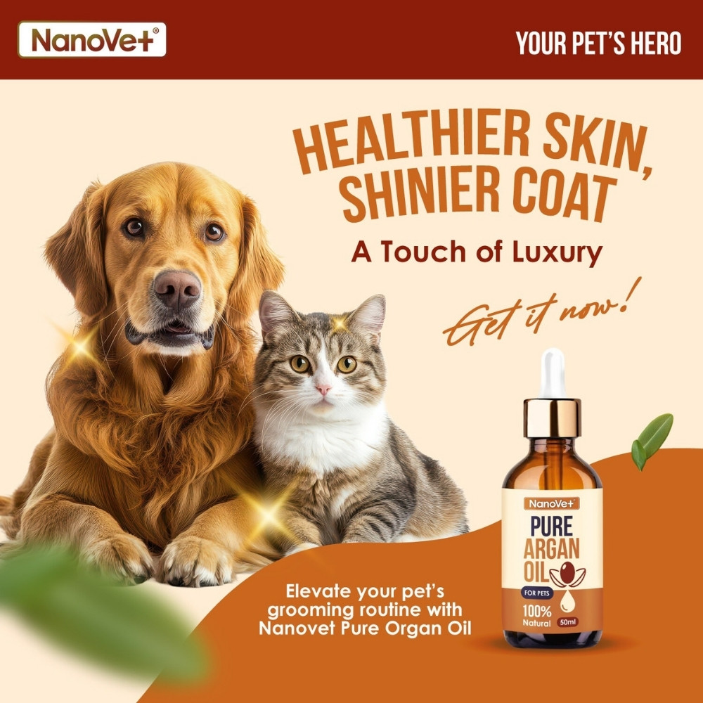 NANOVET PURE ARGAN OIL 50ML image 4