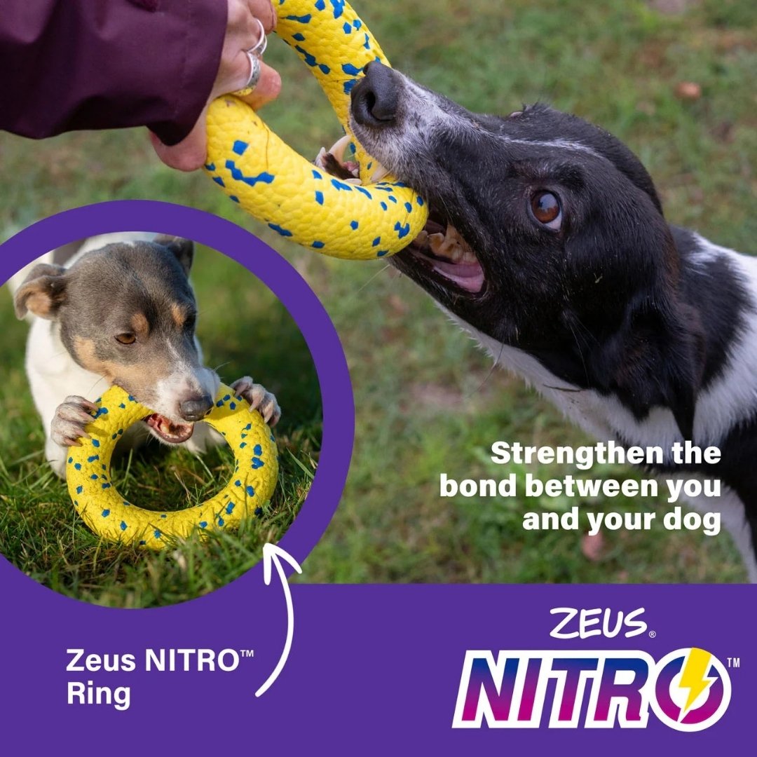 ZEUS DOG NITRO WEIGHTED RING 16CM image 4