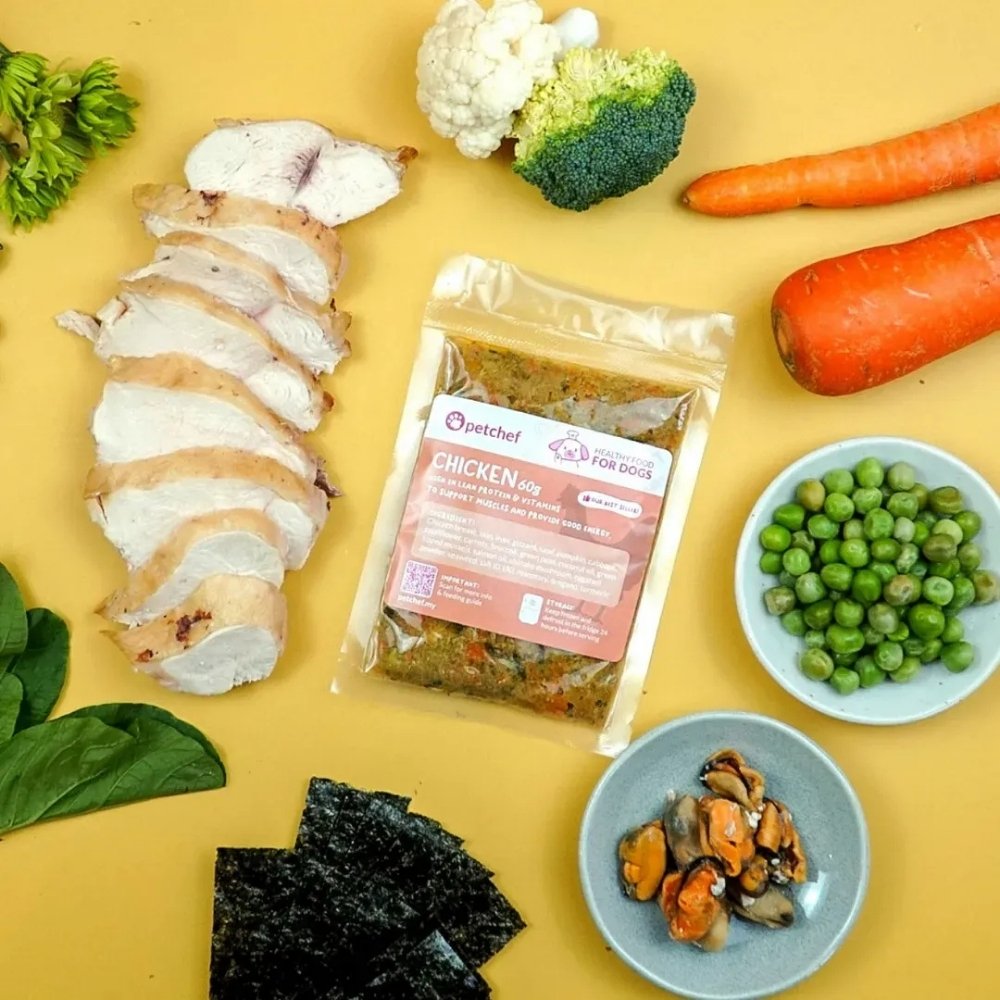 PETCHEF DOG 100G CHICKEN RECIPE COOKED DOG FOOD image 9