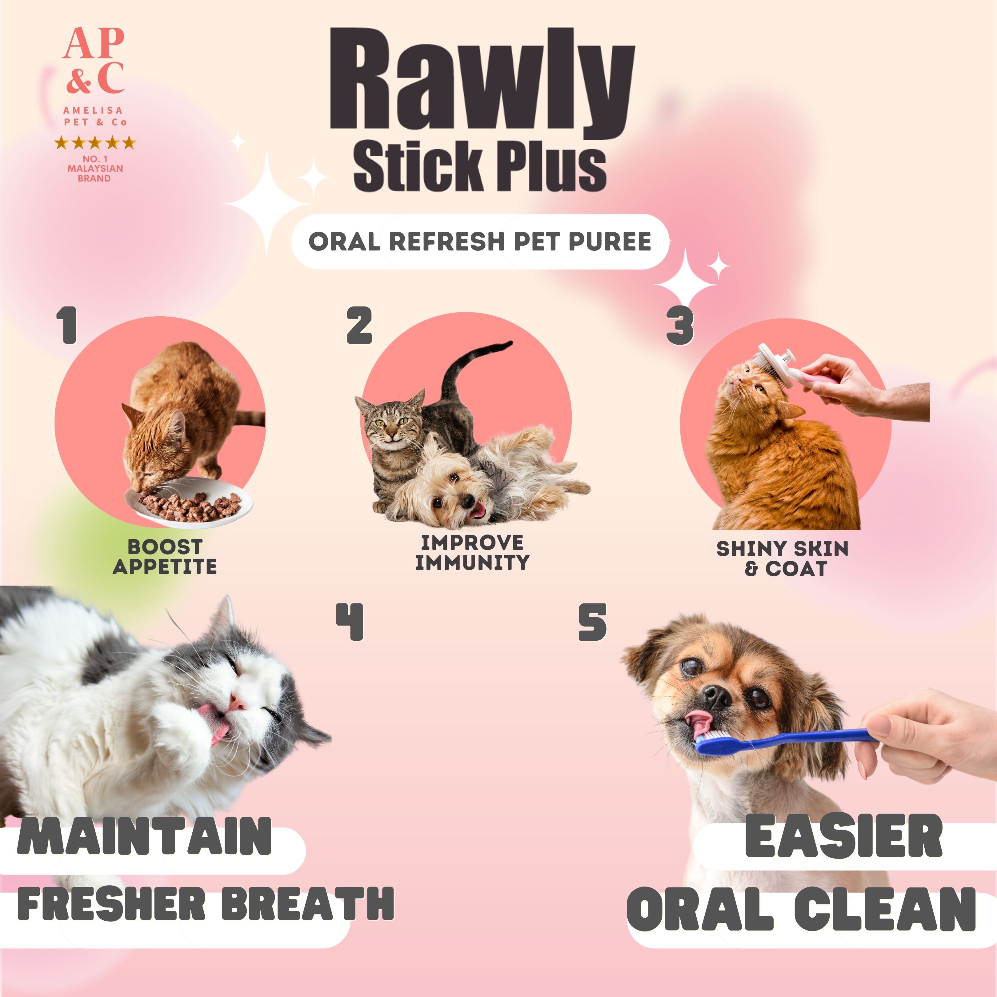 AMELISA RAWLY STICK PLUS PET PUREE 16GX22 CHICKEN & APPLE DOG & CAT LICK image 4