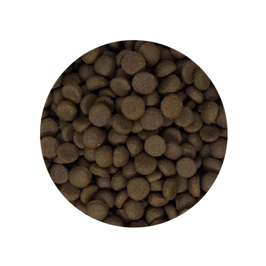 BALANCED NUTRITION OPTIMUM 13KG FARM RAISED TURKEY DRY DOG FOOD image 2