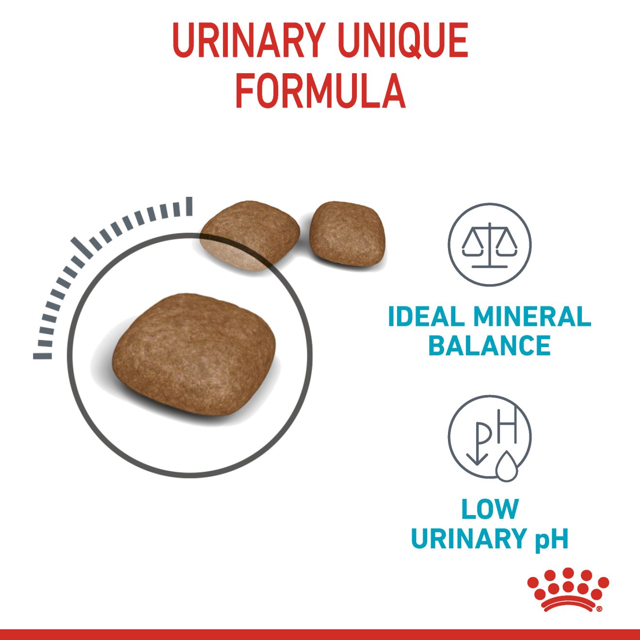 ROYAL CANIN URINARY CARE 4KG DRY CAT FOOD image 5