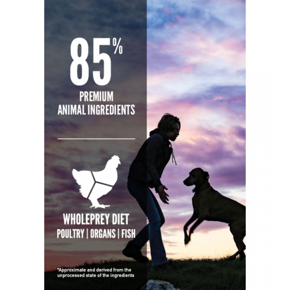 ORIJEN DOG 11.4KG PUPPY LARGE BREED DRY DOG FOOD image 4