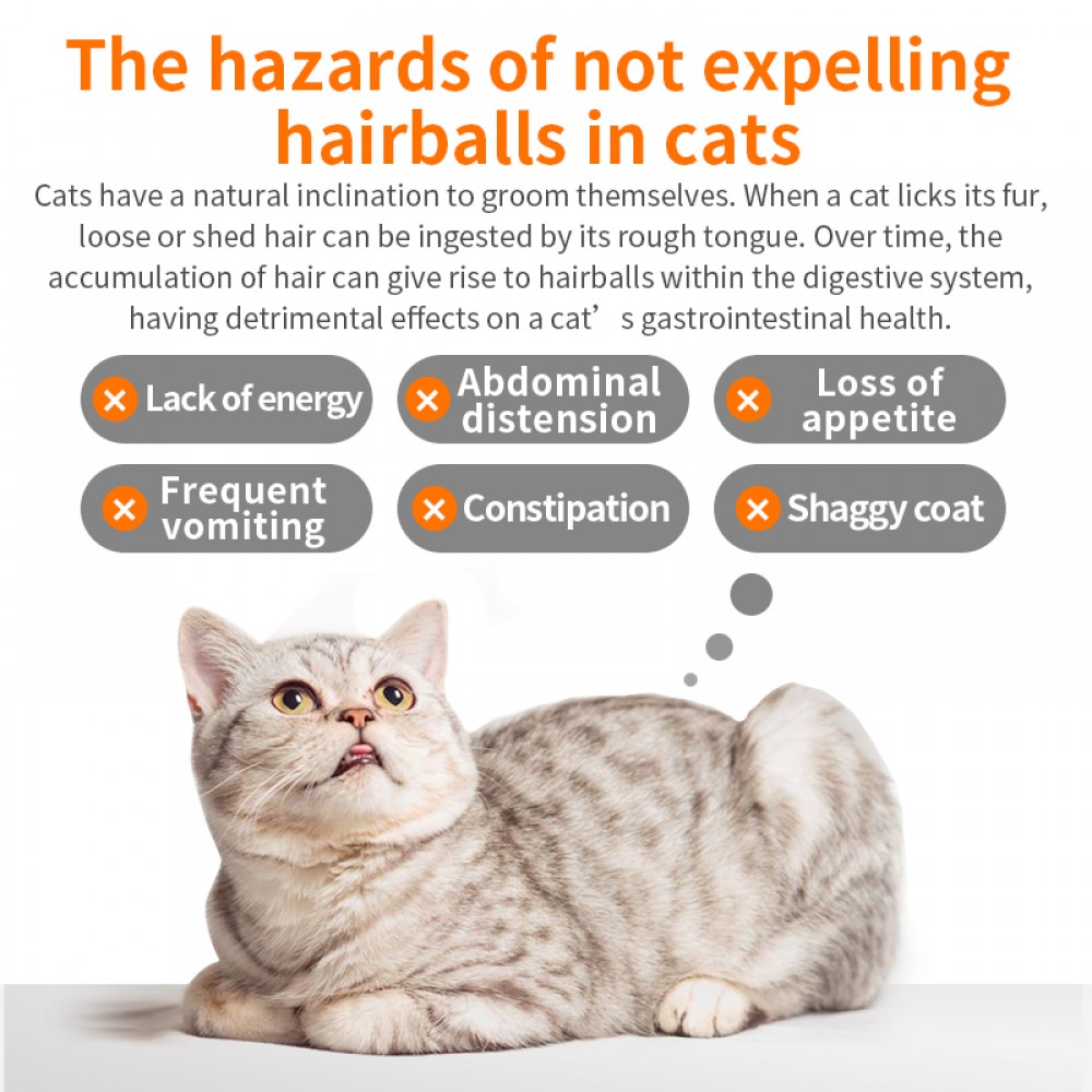 PUAINTA HAIRBALL RELIEF TABLET 0.25GX200TABLETS image 2