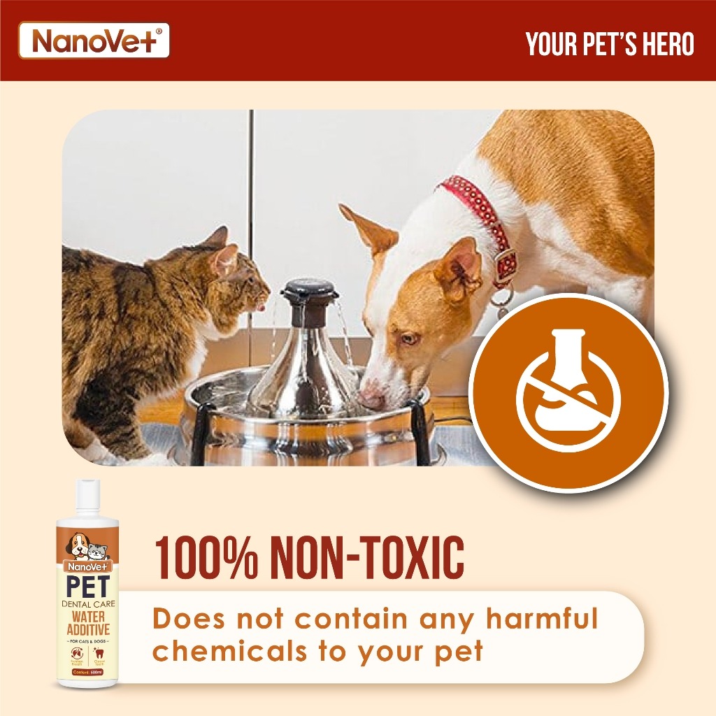 NANOVET DENTAL WATER ADDITIVE 500ML image 4