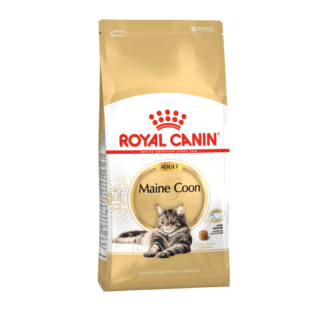 Royal Canin Maine Coon Adult Dry Cat Food image 4