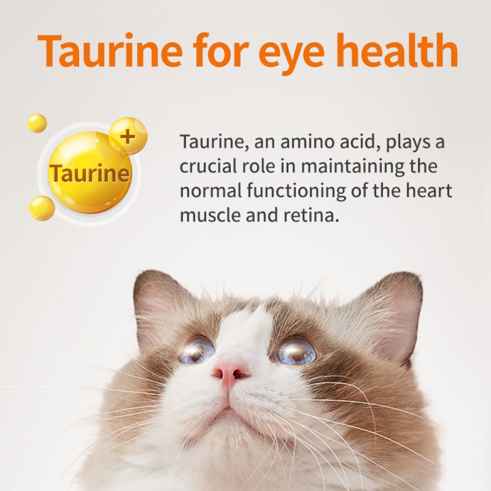 PUAINTA L-LYSINE TABLET 0.5GX200TABLETS image 4