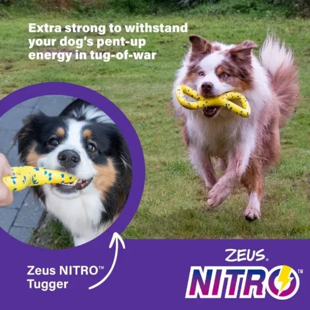 ZEUS DOG NITRO TUGGER 22CM image 5