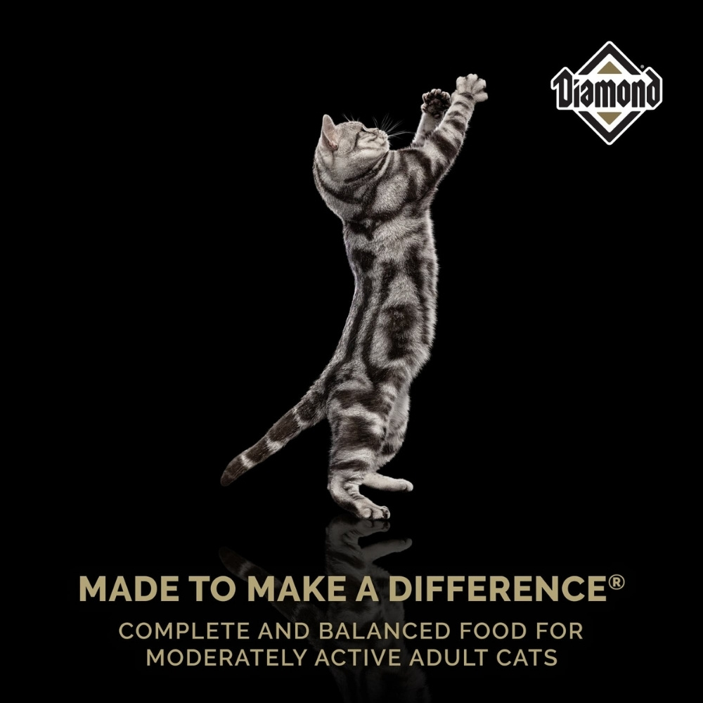 DIAMOND CAT MAINTENANCE 9.07KG CHICKEN DRY CAT FOOD image 3