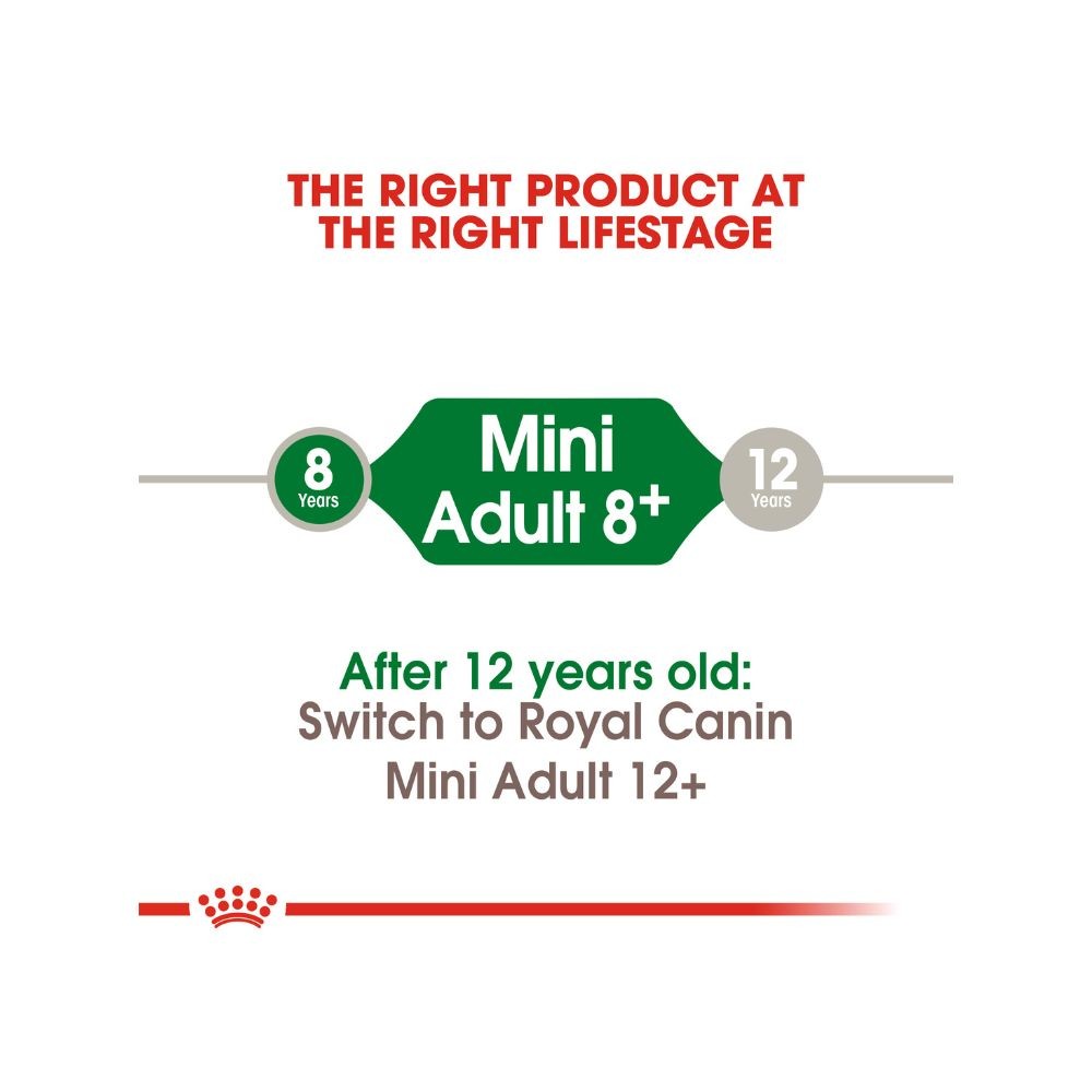 ROYAL CANIN MINI MATURE 8+ 2KG DRY DOG FOOD image 5