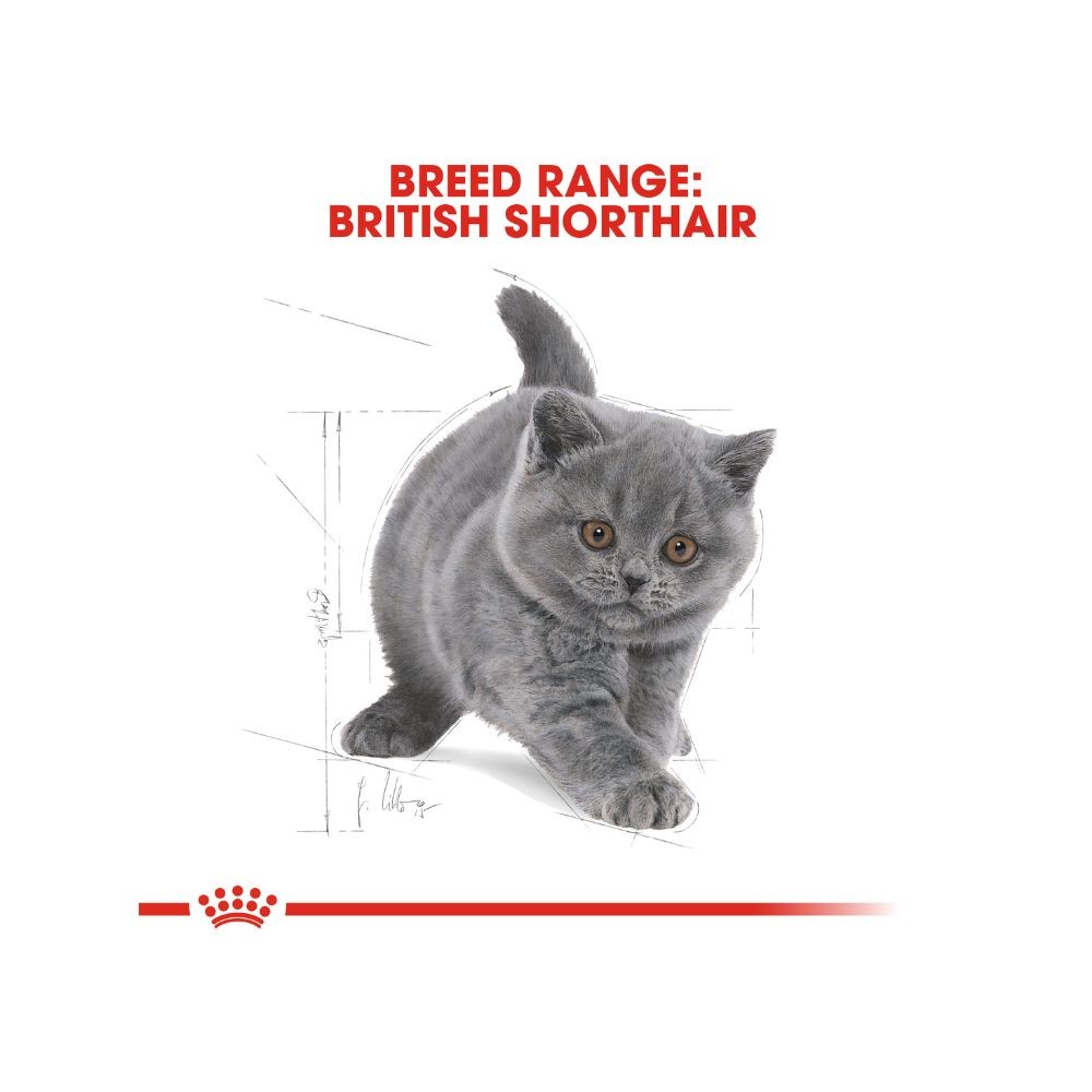 ROYAL CANIN BRITISH SHORTHAIR KITTEN 2KG DRY CAT FOOD image 5