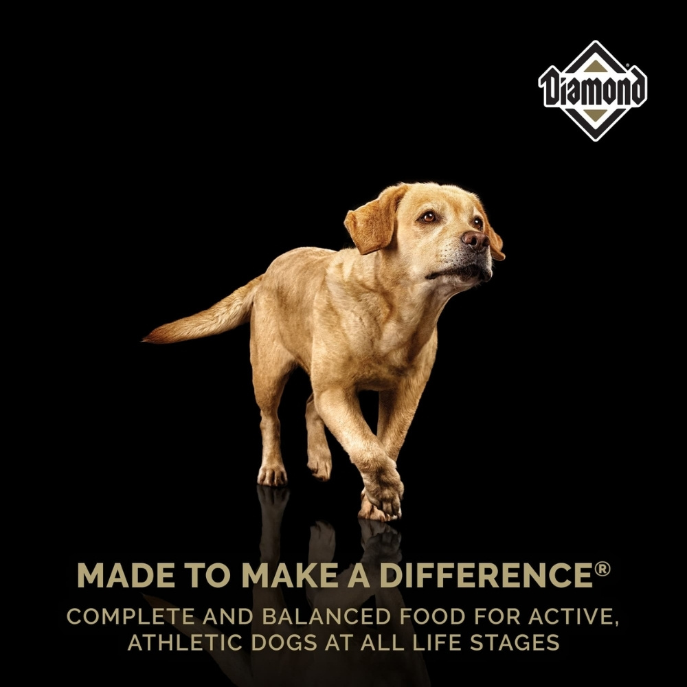 DIAMOND NATURALS DOG PREMIUM 22.6KG ADULT DRY DOG FOOD image 4