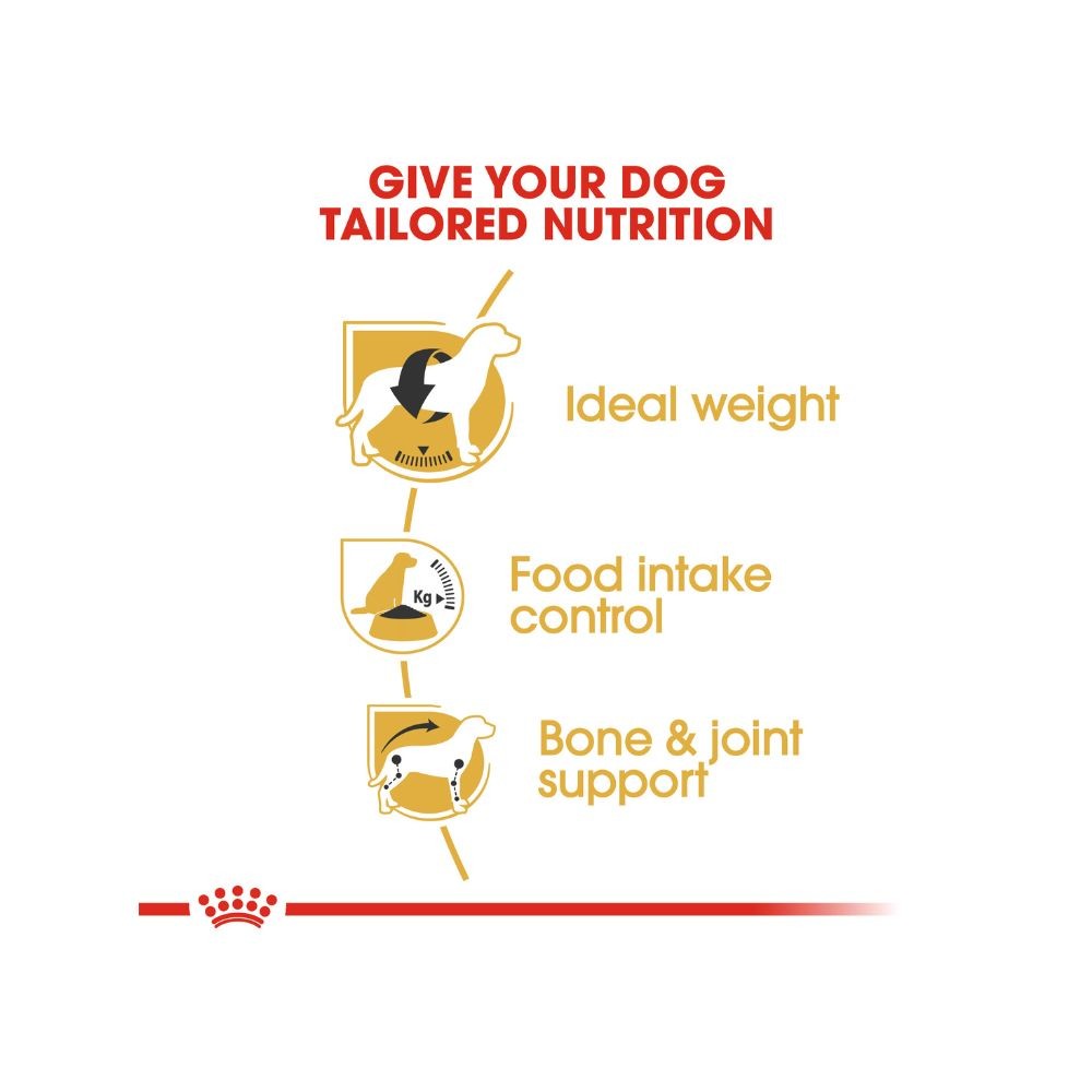 ROYAL CANIN BEAGLE ADULT 3KG DRY DOG FOOD image 3