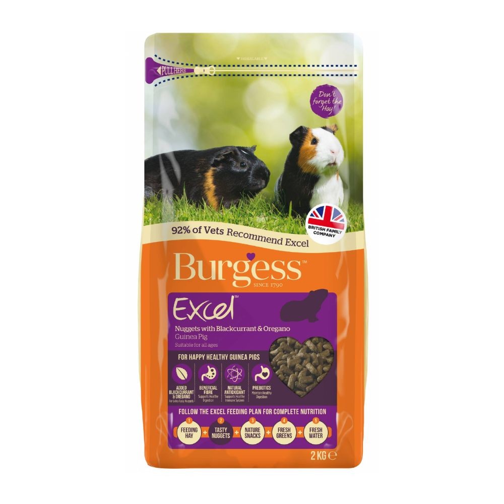 BURGESS 2KG EXCEL ADULT GUINEA PIG NUGGETS WITH BLACKCURRENT & OREGANO image 2