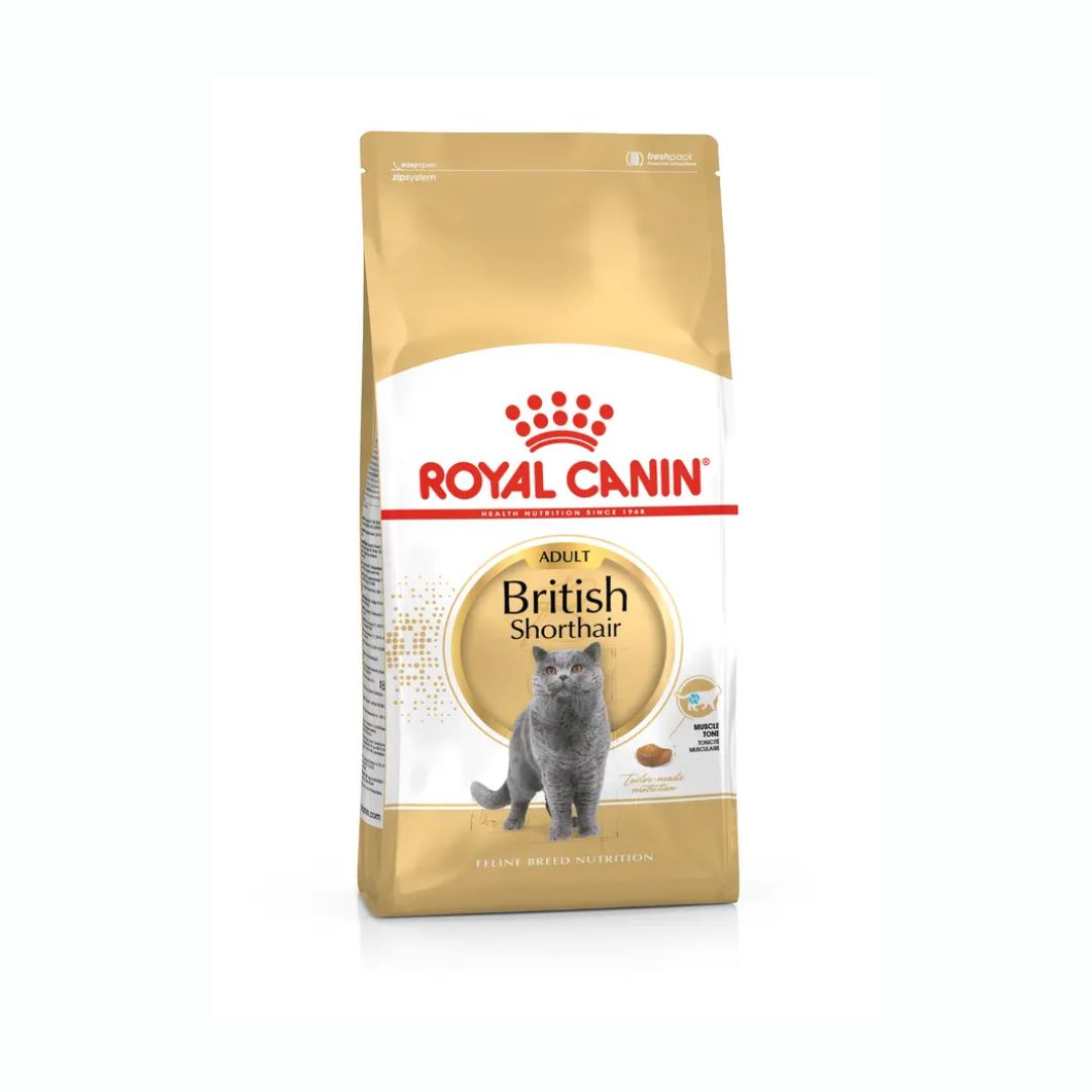 Royal Canin British Shorthair Adult Dry Cat Food image 5