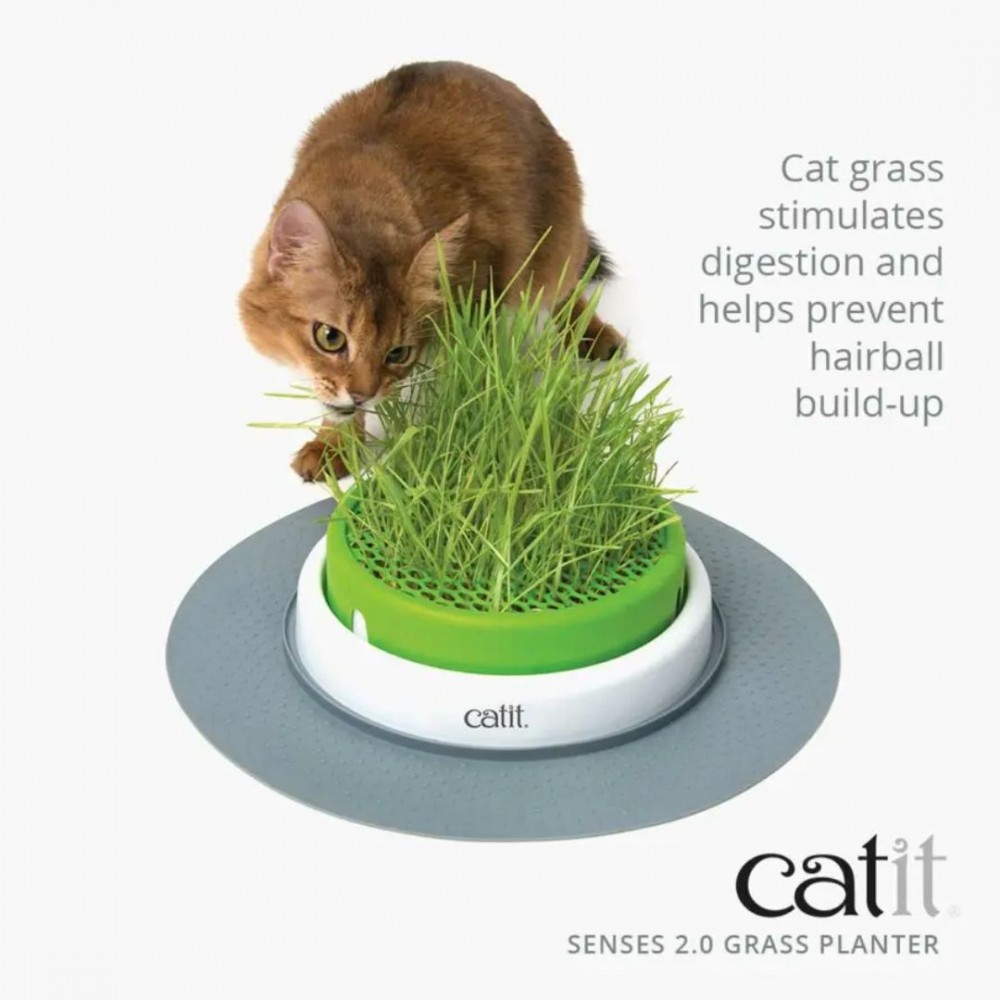 CATIT SENSES 2.0 GRASS PLANTER (INCLUDE SEED & VERMICULITE) image 5