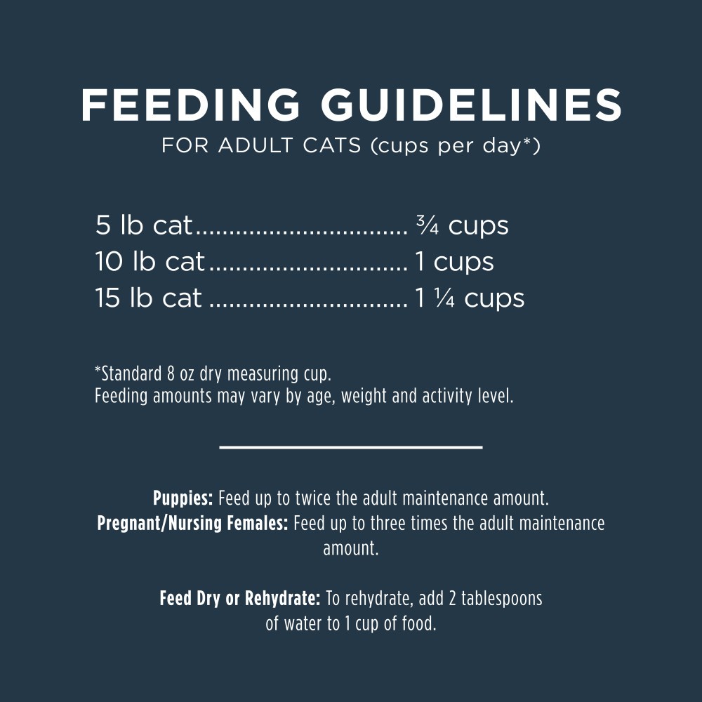 INSTINCT CAT FREEZE-DRIED RAW MEALS 269G (9.5OZ) CAGE FREE CHICKEN RECIPE CAT FOOD image 7