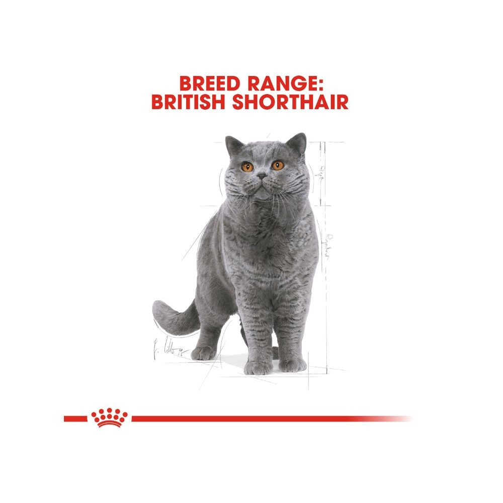 ROYAL CANIN BRITISH SHORTHAIR ADULT 10KG DRY CAT FOOD image 5