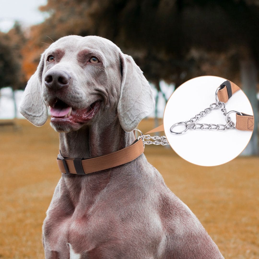 FAN XING METAL P CHAIN DOG COLLAR KHAKI L image 4