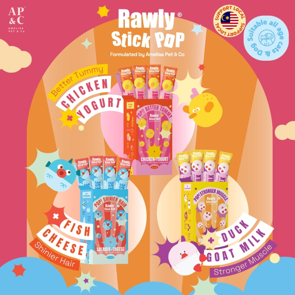 AMELISA RAWLY STICK POP PET PUREE 16GX4 CHICKEN & YOGURT DOG & CAT LICK image 5