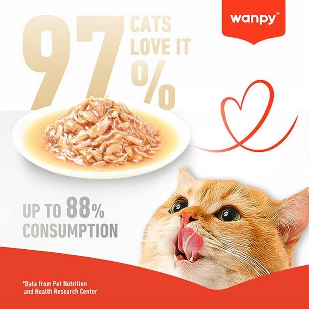 WANPY CAT 70G STEW CHICKEN POUCH WET CAT FOOD image 2