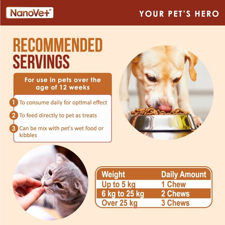 NANOVET SKIN + COAT CHEWS 120PCS image 5