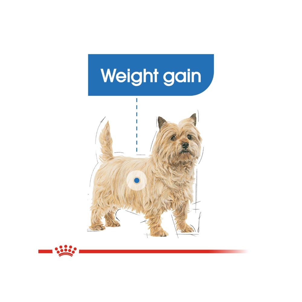 ROYAL CANIN MINI LIGHT WEIGHT CARE 3KG DRY DOG FOOD image 5