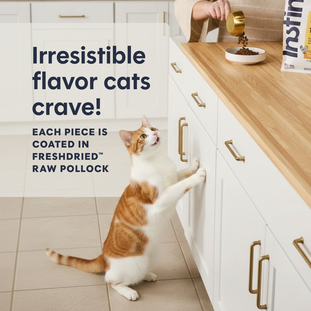 INSTINCT CAT ORIGINAL 4.9KG (11LB) GRAIN FREE RECIPE WITH REAL CHICKEN DRY CAT FOOD image 8