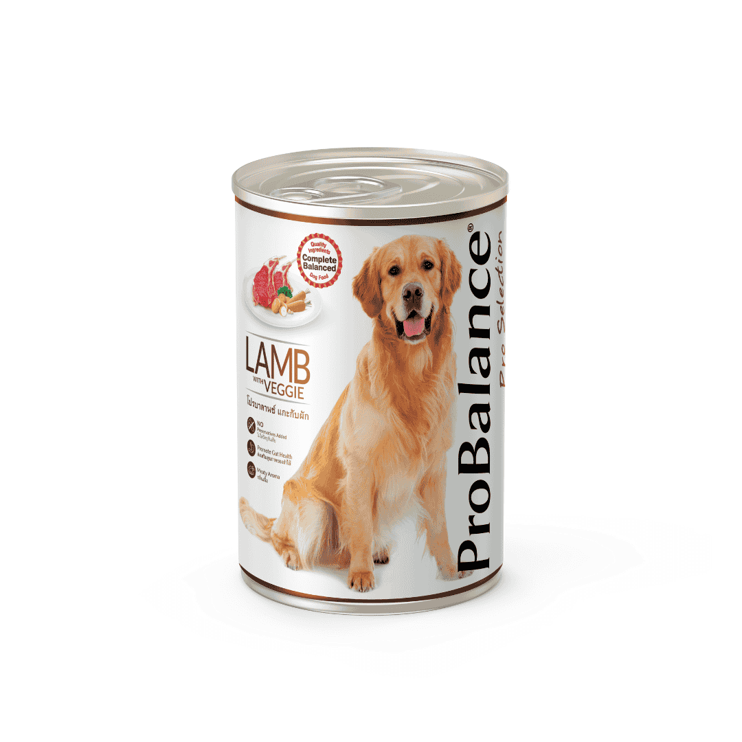 PROBALANCE 400G WITH VEGGIE WET DOG FOOD image 4