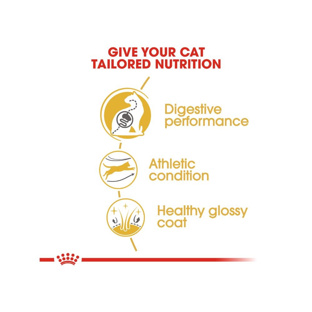 ROYAL CANIN BENGAL ADULT 10KG DRY CAT FOOD image 3