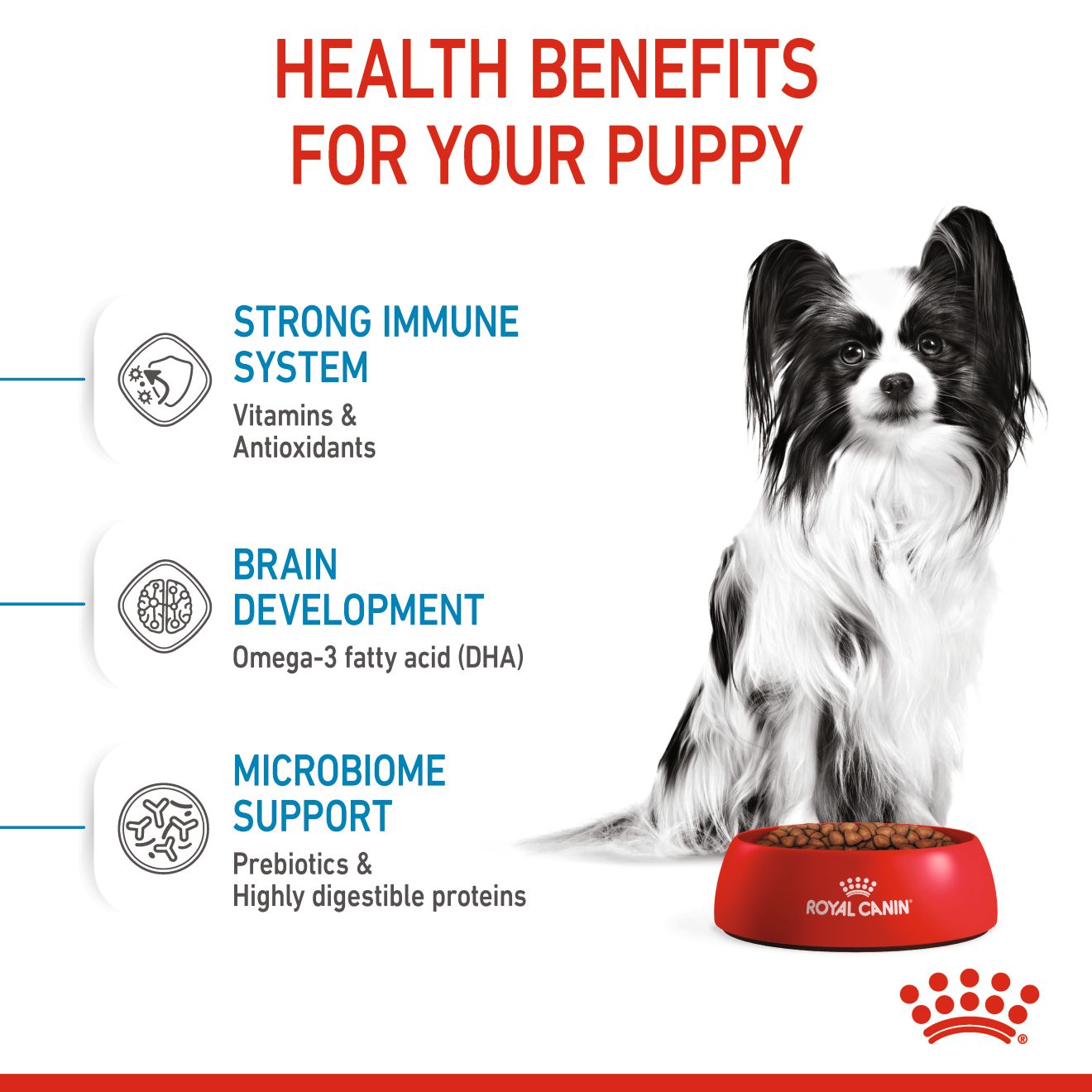ROYAL CANIN XSMALL JUNIOR / PUPPY 1.5KG DRY DOG FOOD image 4