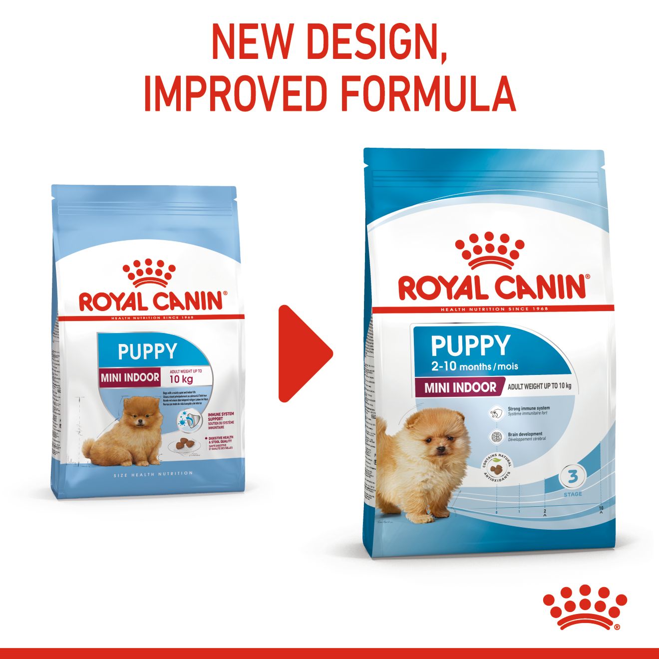 ROYAL CANIN MINI INDOOR PUPPY 1.5KG DRY DOG FOOD image 7