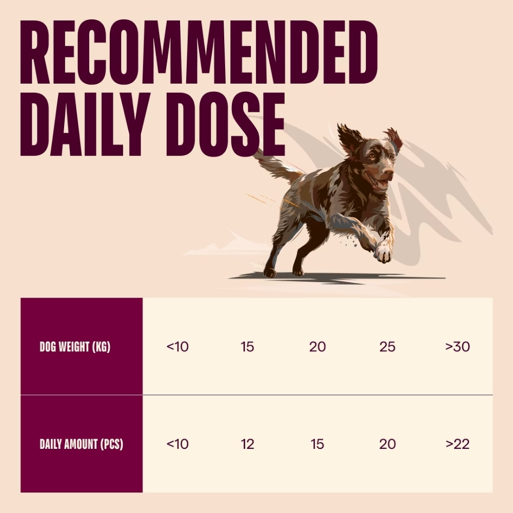 CARNILOVE DOG 200G CRUNCHY SALMON WITH BLUEBERRIES DOG SNACK image 7