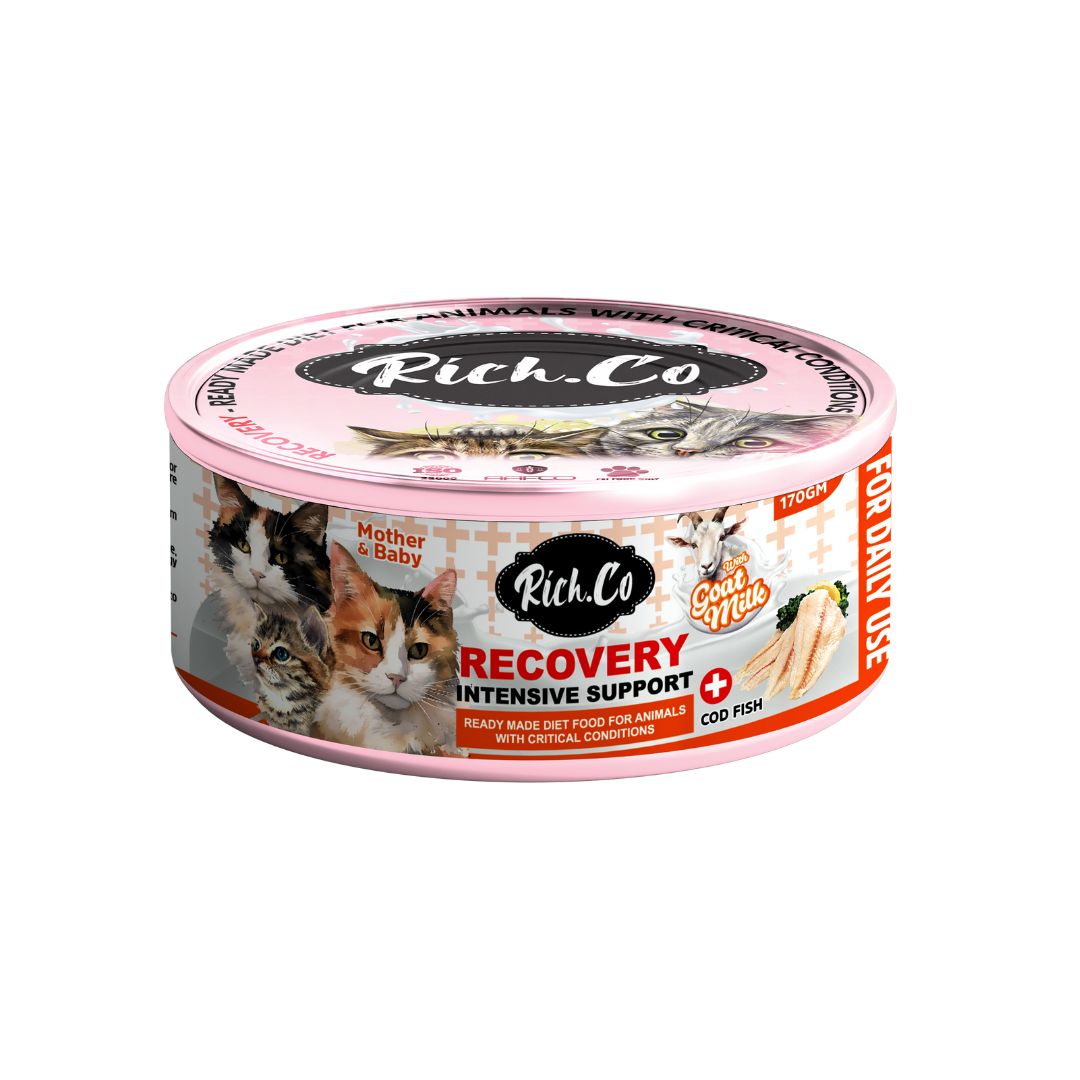 RICH.CO 170G RECOVERY INTENSIVE SUPPORT WET CAT FOOD image 2