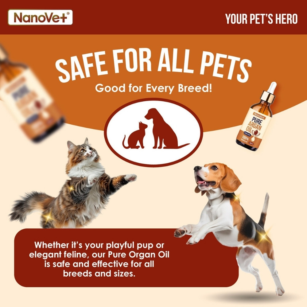 NANOVET PURE ARGAN OIL 50ML image 5