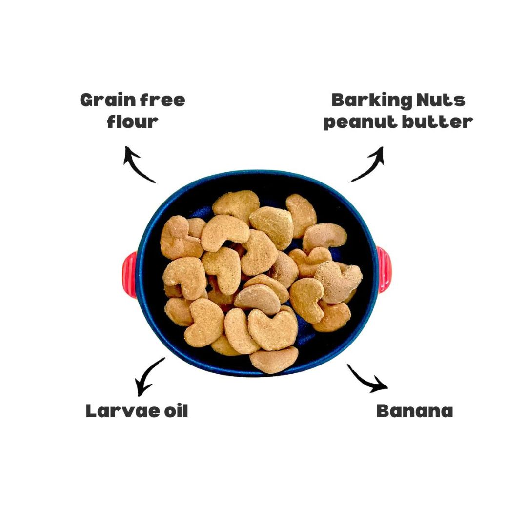BARKERY OVEN DOG 130G INSECT PROTEIN PEANUT BUTTER AND BANANA BISCUIT DOG SNACK image 2