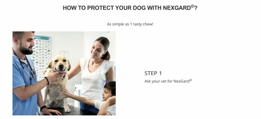 NEXGARD DOG L 6TABS (10KG-25KG) image 2