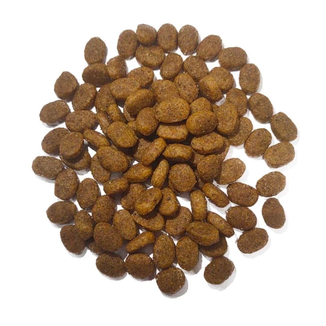 SARAR CAT 2KG ADULT HAIRBALL & INDOOR CHICKEN & ANCHOVY DRY CAT FOOD image 2
