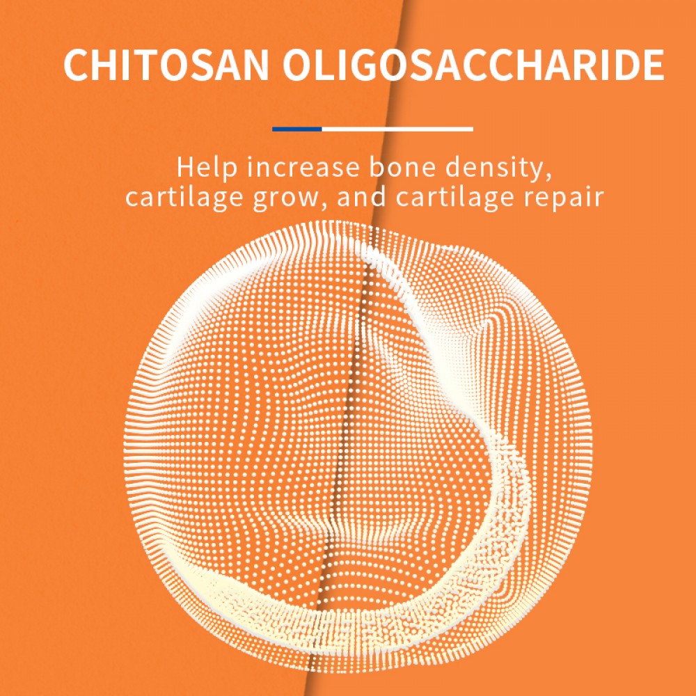 PUAINTA CHONDROITIN 0.5GX200TABLETS image 2