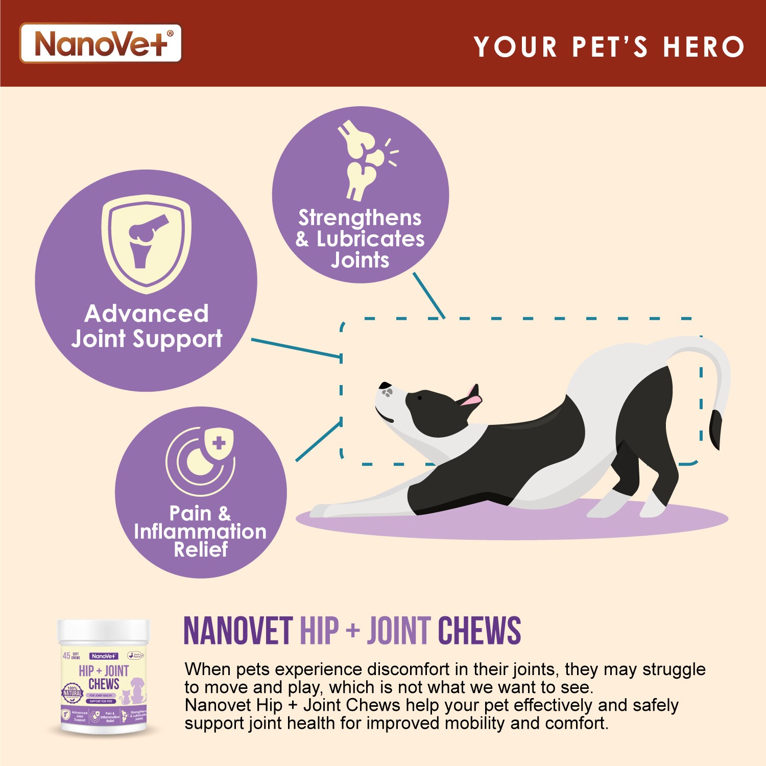 NANOVET HIP + JOINT CHEWS 45PCS image 6